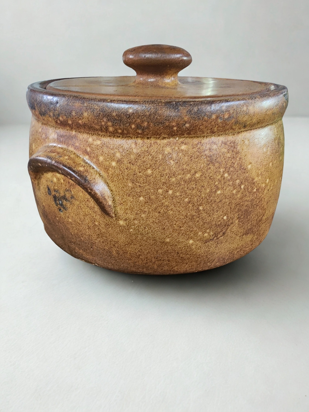 Stoneware Lidded Pot in Rustic Brown